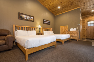 C3 Lakefront - 2 Queens, Kitchenette, Sleeper Sofa, Hot Tub, Pet Friendly Photo 6