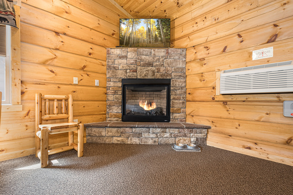 C3 Lakefront - 2 Queens, Kitchenette, Sleeper Sofa, Hot Tub, Pet Friendly Photo 7