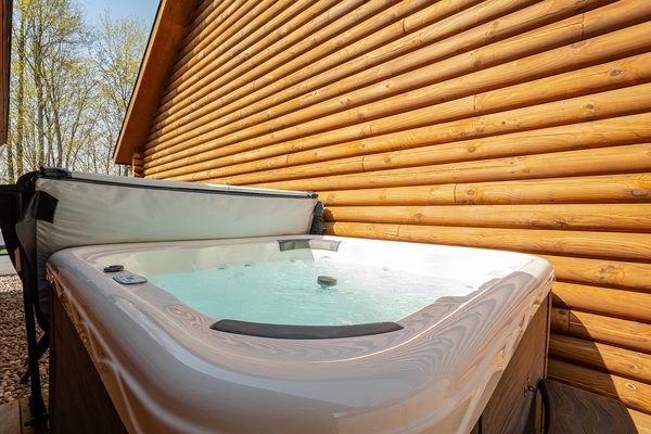 C41 Mountainside - 2 Queen Beds, Kitchette, Hot Tub, Pet Friendly Photo 9