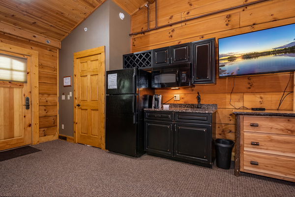 C43 Mountainside - 2 Queen Beds, Kitchenette, Sleeper Sofa, Pet Friendly Photo 4