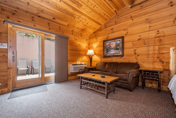 C43 Mountainside - 2 Queen Beds, Kitchenette, Sleeper Sofa, Pet Friendly Photo 5