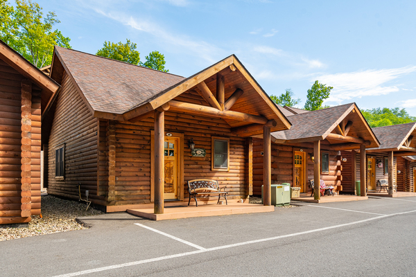 C44 Mountainside - King Bed, Kitchenette, Sleeper Sofa, Pet Friendly Photo 6