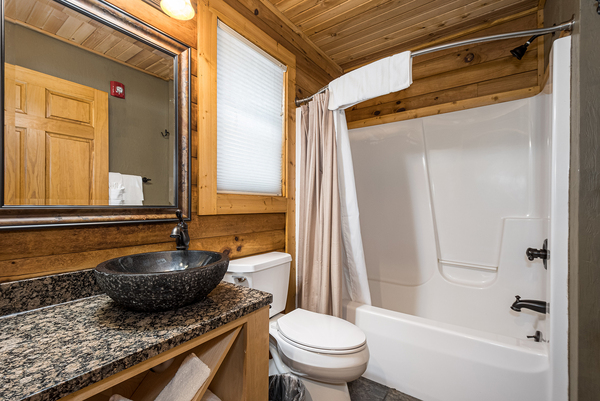 C45L Mountainside - King Bed, Queen bed Loft, 2 Bath, Kitchenette Photo 9