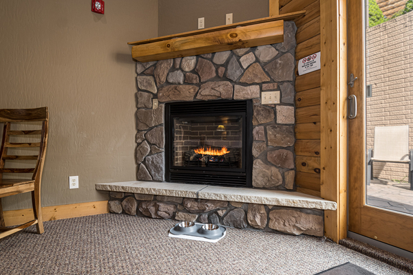 C45R Mountainside - King Bed, Kitchenette, Pet Friendly Photo 5