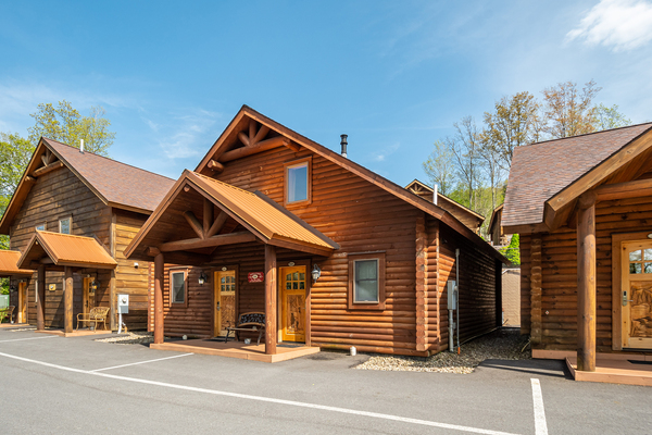 C45R Mountainside - King Bed, Kitchenette, Pet Friendly Photo 7