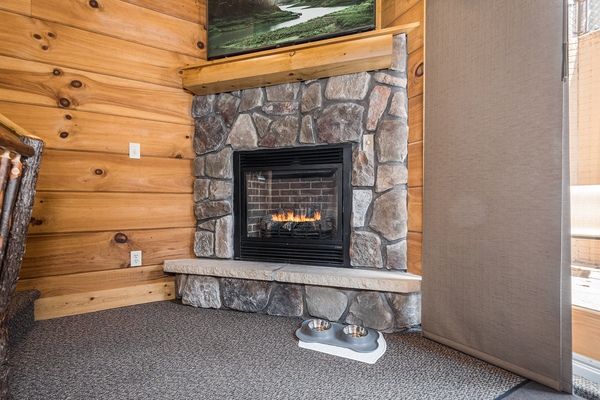 C46R Mountainside - 3 Queen Beds, 2, Bath, Kitchenette, Pet Friendly Photo 4