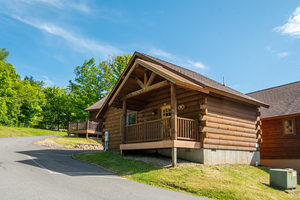 C47 Mountainside - 2 Queen Beds, Kitchenette, Hot Tub, Pet Friendly Photo 2