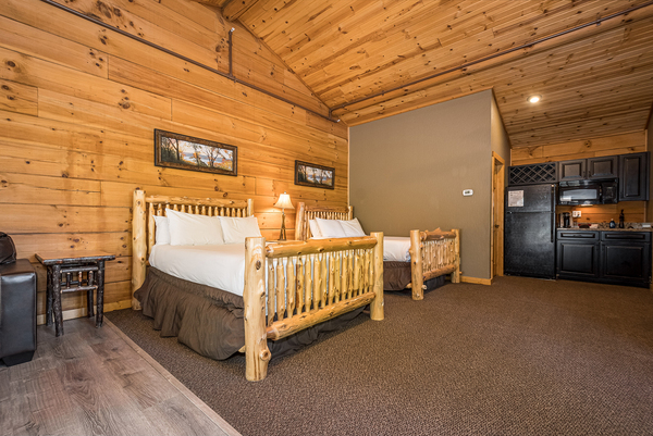 C47 Mountainside - 2 Queen Beds, Kitchenette, Hot Tub, Pet Friendly Photo 4