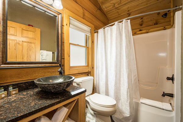 C49L Mountainside - 2 Queen beds, Kitchenette, Sleeper Sofa Photo 6