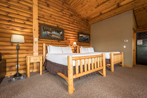 C53 Mountainside - 2 Queen Beds, Kitchenette, Hot Tub, Pet Friendly Photo 5