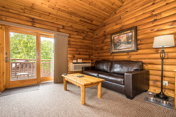 C53 Mountainside - 2 Queen Beds, Kitchenette, Hot Tub, Pet Friendly Photo 7